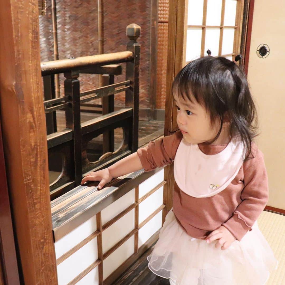 しほの涼のインスタグラム：「京都の有名な水炊き屋さん #鳥彌三 に行ってきたよ🐓🍁 真っ白なスープに染み染みのお野菜、鳥がめちゃうま😭😭✨✨ 坂本龍馬も食べたらしい‼️‼️ 京都行くとお腹がぽんぽん丸😇😇 そして個室なのがマジでありがたかった。 ゆっくり食べれた、ご飯、幸せ😭😭 #水炊き #水炊き鍋 #鳥彌三の水炊き #鳥彌三の水炊は世界一 #京都グルメ #京都旅行 #子連れ旅行 #子連れ旅 #1歳児と旅行 #1歳と旅行 #赤ちゃん連れ旅行」