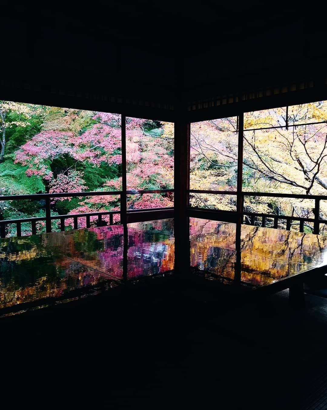 kei_pqのインスタグラム：「11月中頃の京都日帰り旅の記録✍ 瑠璃光院、秋の特別拝観🍁書院からの美しき紅葉  #vscocam #vscotravel #vscokyoto #京都日帰り #瑠璃光院 #瑠璃光院秋の特別拝観 #kyototrip #京都紅葉」