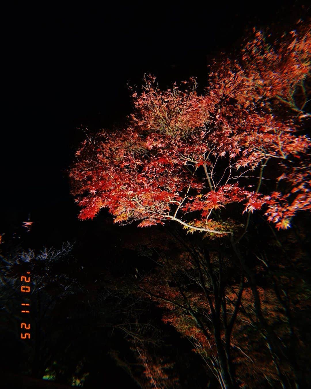 MAKOさんのインスタグラム写真 - (MAKOInstagram)「清水寺🍁」11月26日 19時52分 - maco_stagram_