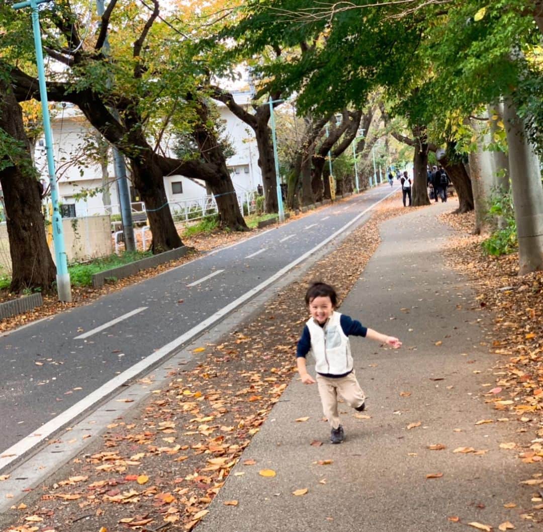 花田浩菜のインスタグラム：「歩いているだけで楽しい#3歳児 。 と言うより、歩いたり走ったり思いきりできることが何より楽しいお年頃👶❤️笑 同時に#0歳児 の娘ちゃんはベビーカーでお散歩しながら気持ちよくお昼寝できる絶好のお散歩スポットへ👟 . #小平市 にある#小平グリーンロード 🌿 公式HPによると、玉川上水、野火止用水、狭山・境緑道、都立小金井公園を結ぶ小平をぐるりと一周する約21キロメートル（！）もある川や緑たっぷりの気持ちの良い散歩道❤️ ここに行く前に#アウトドア が楽しめるカフェに行ったので、そのまま花小金井駅前からのんびりお散歩🚶‍♀️ 至る所にベンチが設置されていたり、歩道も広くて途中途中には小さな公園や、カフェや野菜直売所まであったり歩いているだけでのどかな気分😊 途中途中で休憩したり、いつ来ても四季を楽しみながらのんびりできそうなので近くに住んでいたら気持ちよさそうだな〜なんて話しながらのお散歩でした😊 桜の時期にも来たいなあ🌸 . . ※小平グリーンロードは原則マスク着用です。撮影時のみ外しております。 @tamahatsu_official  #多摩の魅力発信プロジェクト#たま発 #tamahatsu #PR #子供とお出かけ #子連れでお出かけ #家族でお出かけ #暮らしを楽しむ #公園遊び #紅葉 #外遊び #紅葉スポット #3歳 #生後11ヶ月 #赤ちゃんのいる生活 #2歳差兄妹 #2歳差育児 #2児ママ #japan #happy #happydays」