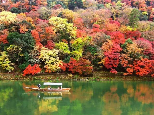祇園麺処 むらじさんのインスタグラム写真 - (祇園麺処 むらじInstagram)「【京都の紅葉】  今年も京都では見事な紅葉が見られます。 このようなご時世ですので、なかなか遠方から京都へ来ることは難しいかもしれませんが…。 ご縁がありましたら、ぜひぜひ麺処むらじにもお立ち寄りくださいませ！  麺処むらじでは笑顔のスタッフと、ホッとする優しい味の鶏白湯スープのラーメンが 待っていますよ。  #麺処むらじ #むらじ #ラーメンむらじ #ラーメン #京都ラーメン #ラーメン京都 #麺処むらじ祇園店 #ラーメン大好き #麺スタグラム #麺活 #京都グルメ #京都麺活 #京都のうまいもん #ランチセット #京都 #そうだ京都行こう #kyoto #ramen #ramennoodles #ramenlover #ramen #kyotojapan #祇園 #室町 #巽橋 #京都らしい風景 #京都らしい景色 #京都らしい街並み ##そうだ京都へ行こう」11月26日 20時30分 - ramen_muraji