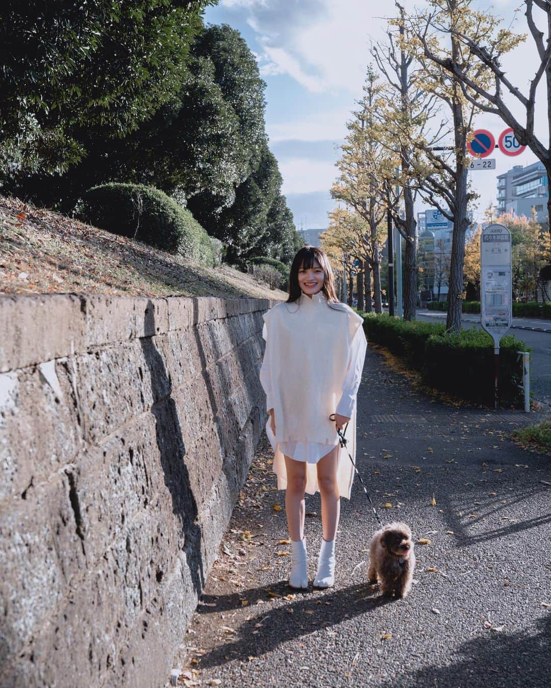 masayuki nittaさんのインスタグラム写真 - (masayuki nittaInstagram)「. 西陽とAll white めいめいめいがインスタ復活🌏」11月26日 20時42分 - masayuki_nitta