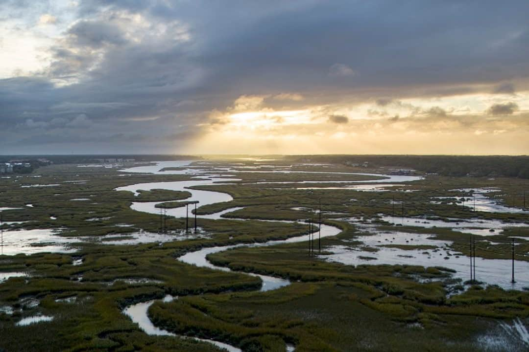 National Geographic Travelさんのインスタグラム写真 - (National Geographic TravelInstagram)「Photo by Matt Borowick @mborowick / The sun sets over Hilton Head Island in South Carolina. The saltwater marsh seen here lives between the open waters of the Atlantic Ocean and the land itself. This type of marsh is critical to the ecosystem in the area, providing for the very diverse plant life and wildlife that lives here. Follow @mborowick for more pictures like this. #nature #hiltonhead #adventure #wilderness #southcarolina」11月26日 20時38分 - natgeotravel