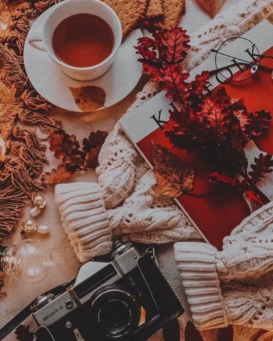 キャサリンマランドリーノのインスタグラム：「Happy Thanksgiving🍂 What are you most thankful for? • • • #catherinemalandrino #catherinebycatherinemalandrino #thanksgiving #holiday #thankful #aesthetic #family #tea」