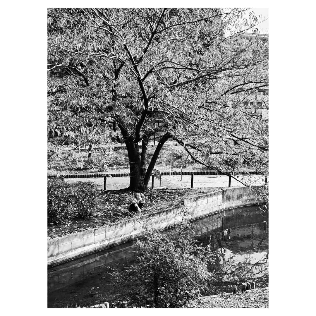 橋本淳のインスタグラム：「. 舞台「No.9 不滅の旋律」 . 稽古が日々進んでおります。 . 気温も下がり 秋から冬になりつつ季節。 体調管理と予防をしっかりして 全員で本番へ向かいます。 . 再びのカスパール さらに深く彼と向き合って 最後まで大切に歩みます。 . お楽しみに。 . . . #No9  #不滅の旋律」