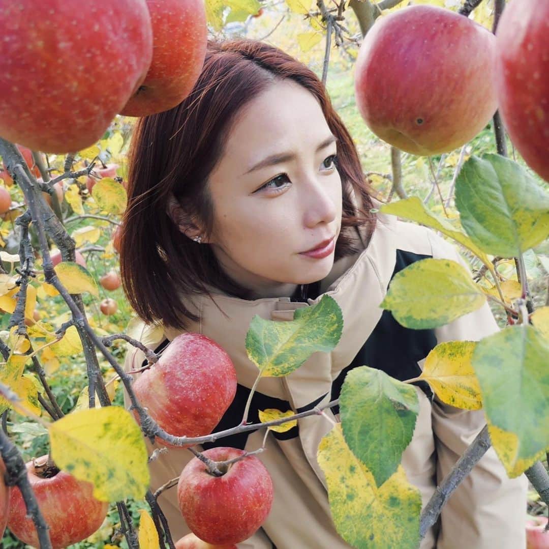イアリサのインスタグラム：「りんご姫選手権あったら優勝してんで🍎って言って撮ってくれた写真📷 @aya_dream04  . #りんご姫選手権で優勝しました #りんご姫選手権ってなに #これから果物に囲まれた私の写真を集めていこうと思う #りんご狩り終わって終わりましたって店の人に報告しようとしたのに店の人いなかった #勝手に帰っていいスタイル #良心が問われますよ #りんご泥棒出たらどうするのって勝手に心配した #デコの大好物をデコにお土産 #帰ってすぐカットしてあげたらシャリシャリ言って食べてました #お母ちゃんデコのこと考えてたよ #photobyaya」