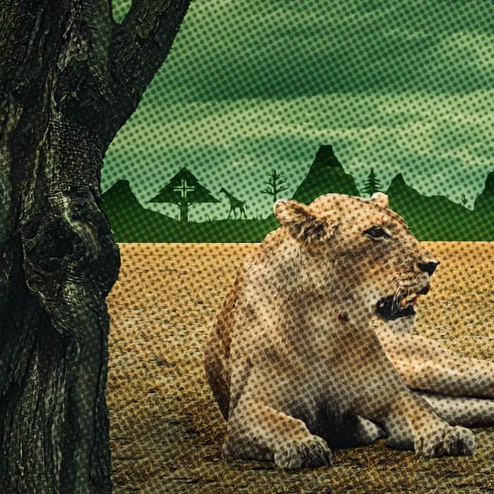 エルアールジーのインスタグラム：「Live A Wild Life :: Lifted Research Group」