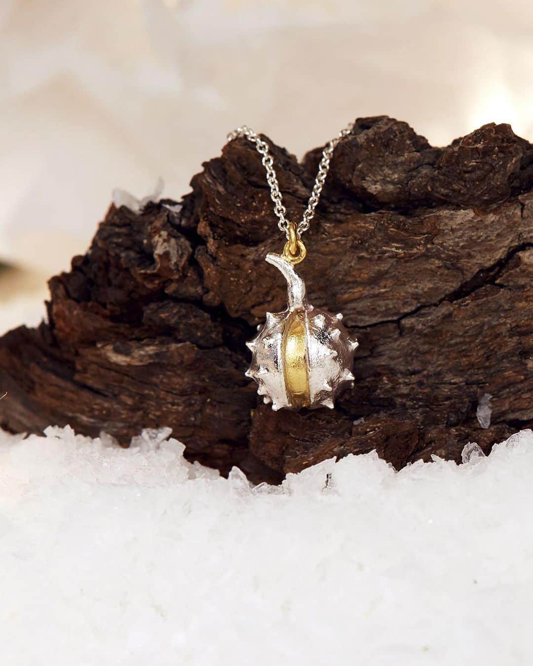 アレックスモンローさんのインスタグラム写真 - (アレックスモンローInstagram)「Conker Necklace 🍂 Back in Stock ✨Product Link in Shot🔗 ⠀ ⠀ A golden conker peeks through a split in a spiky, silver shell in our beloved Conker Necklace. A treasure inspired by the joys of nature in Autumn! 🍁 ⠀ ⠀ #AlexMonroe #HandmadeinEngland #InspiredbyNature #EthicallyMade」11月26日 21時11分 - alexmonroejewellery