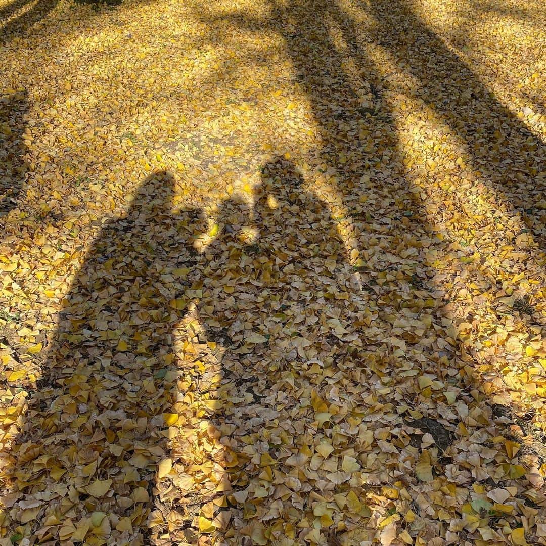長谷川あやのインスタグラム：「🍂🍂🍂#yoyogipark#紅葉狩り#紅葉 ・ ・ ・ love👩🏻🐶👧🧑🏼💓」
