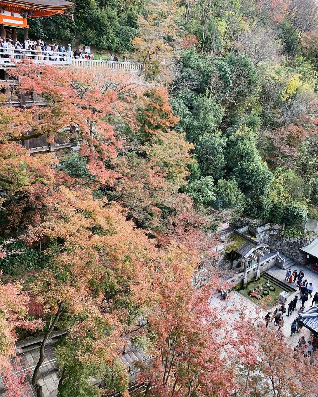 長谷部優さんのインスタグラム写真 - (長谷部優Instagram)「京都 清水寺 真っ赤に色付いた紅葉に 気持ちいい天気✨ 贅沢🍁 続く、、。  Photo  新田健太」11月26日 21時39分 - yuuhasebe