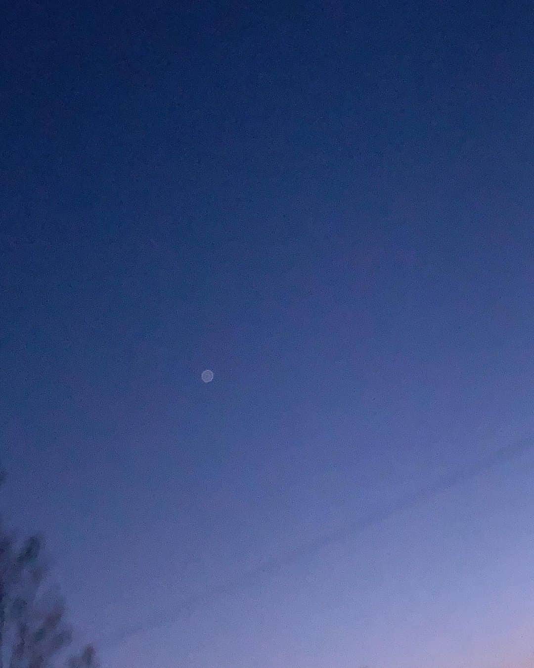 中野みやびのインスタグラム：「そら！！  #空 #sky #blue #青 #白 #white #木 #緑 #green #自然 #星 #star #群馬 #gunma #中野みやび #みやび #中野」