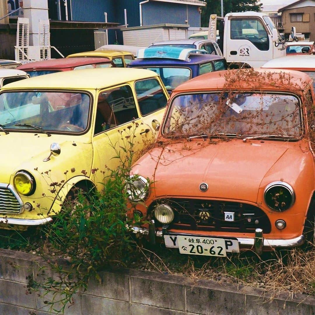 のインスタグラム：「#filmphotography #classicmini  #scrapyard  #oldtimercar」