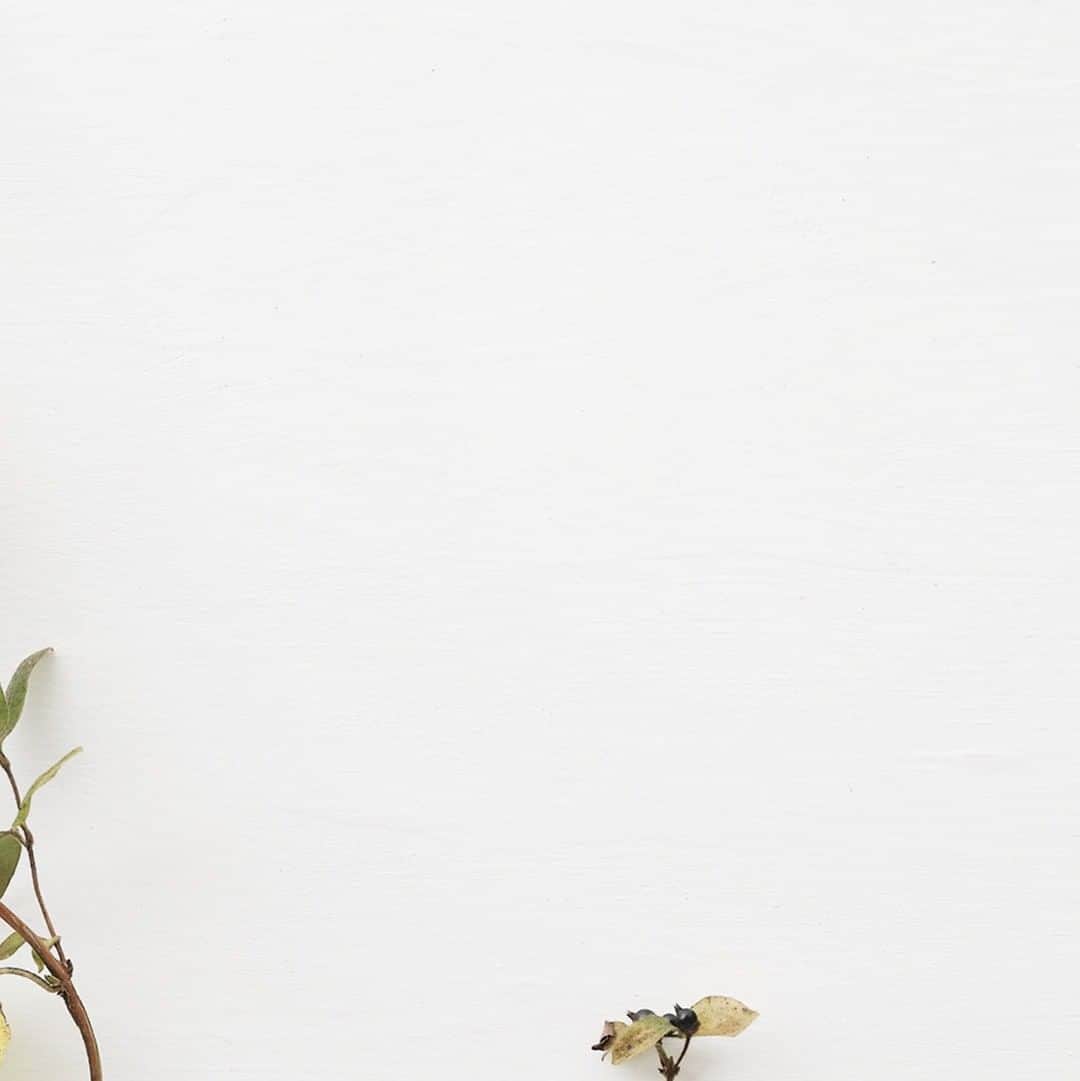 ヒラハルのグルメインスタ