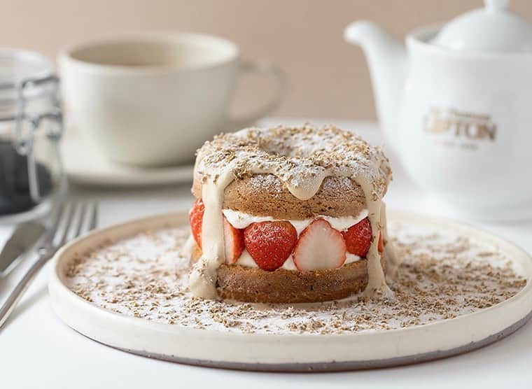 コエのグルメインスタ