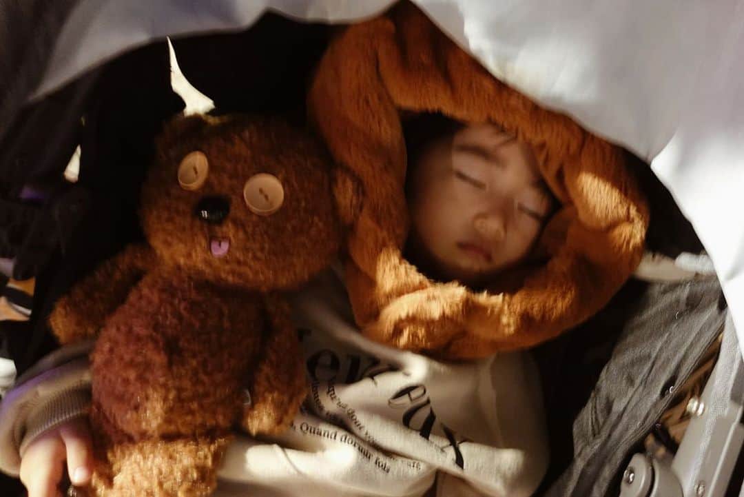 美生のインスタグラム：「My sweet Tim🧸﻿ ﻿ ﻿ ﻿ ﻿ #goodnight﻿ #ユニバ」
