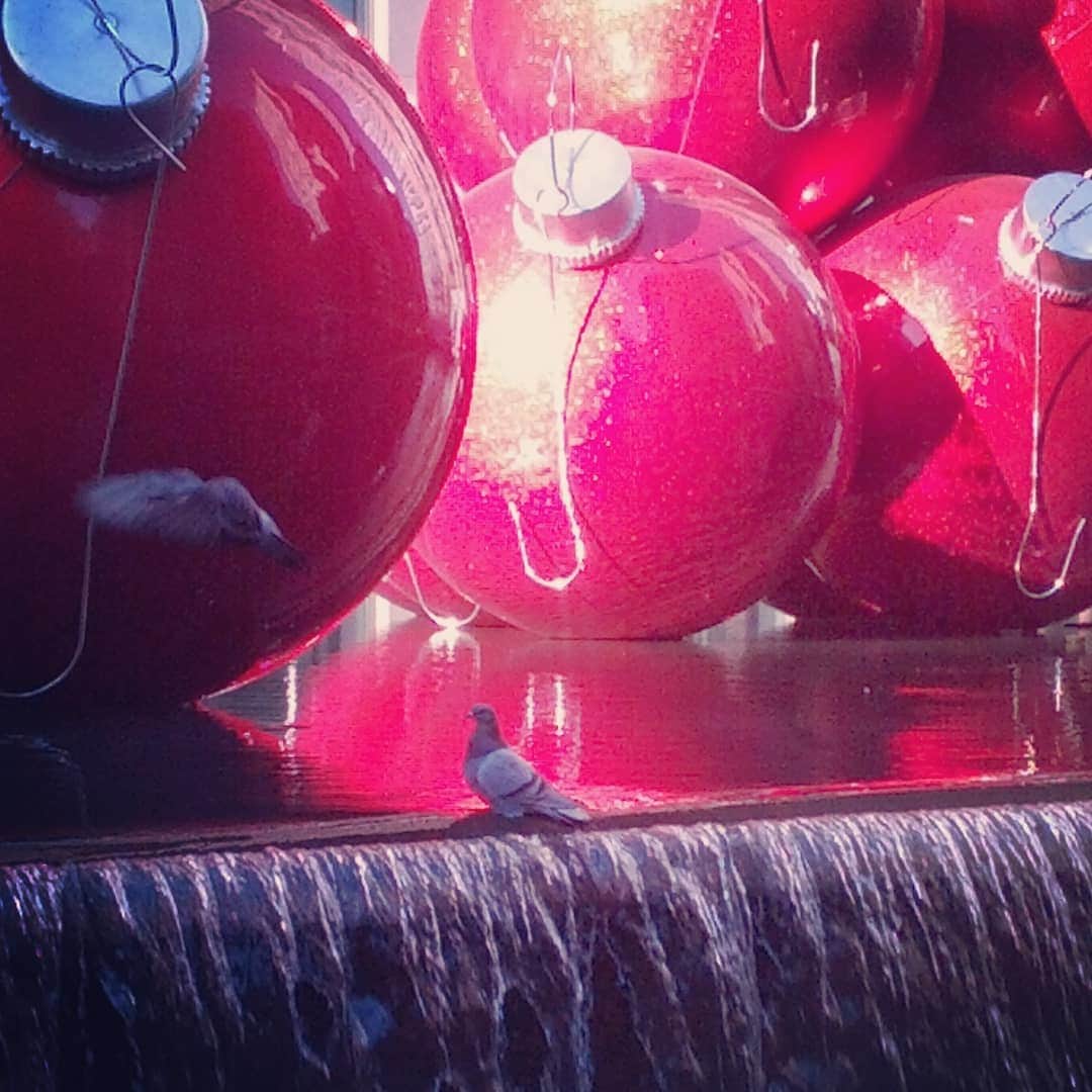 前田真里さんのインスタグラム写真 - (前田真里Instagram)「#happyholidays  #2013 #過去pic #googlephotos  #nyc #streetphotography」11月26日 22時23分 - maedamari