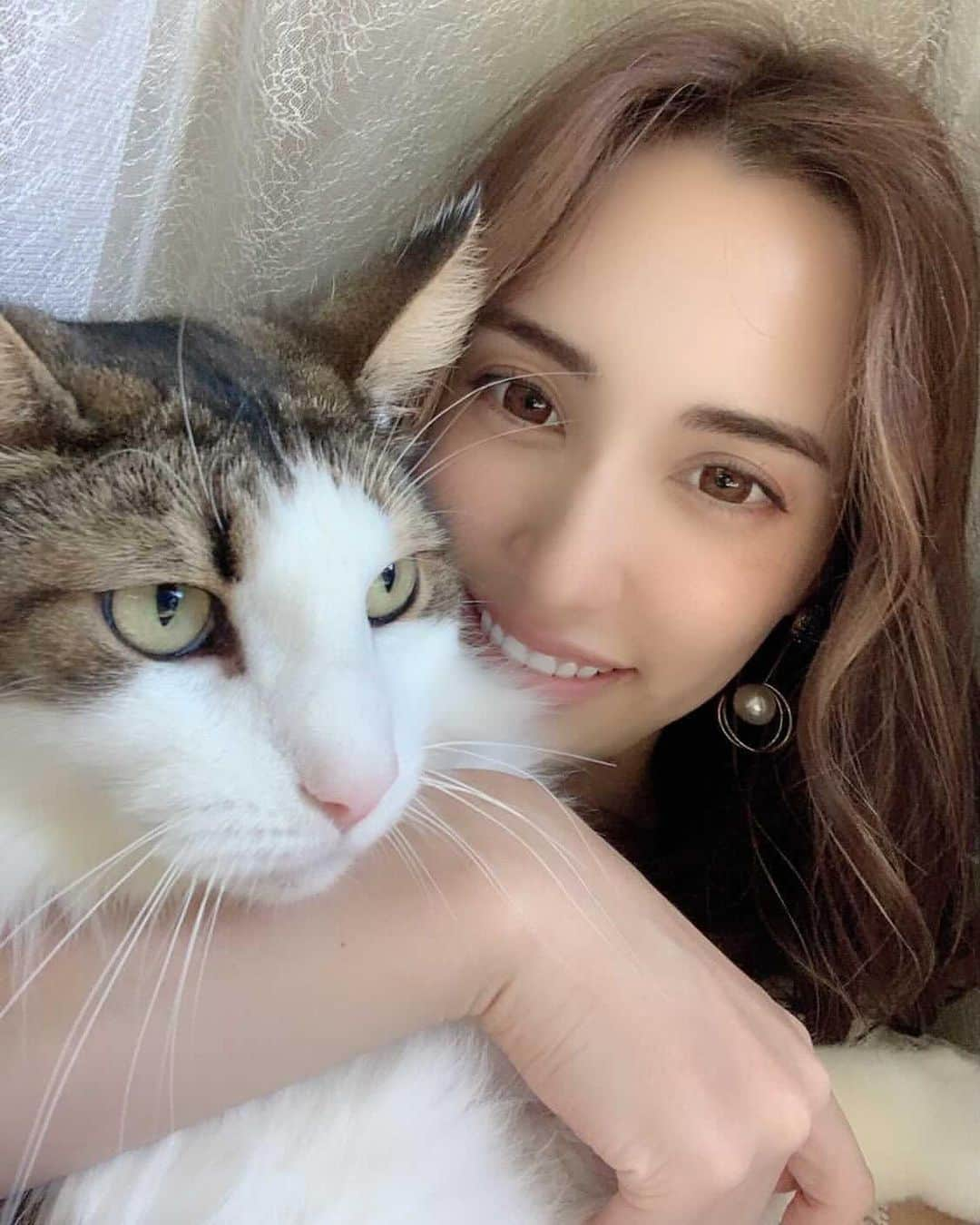 眞木美咲パメラさんのインスタグラム写真 - (眞木美咲パメラInstagram)「ふにゃたん🐱💕  ハイライトがいい感じにでてきた🧡 フェイスフレミング⚡️  @fhitoshi08 🙏🏻  次は何色がいいかな  #猫　#ノルウェージャンフォレストキャット  #cat#catstagram #norwayjanforestcat」11月26日 22時36分 - pamypamypamy