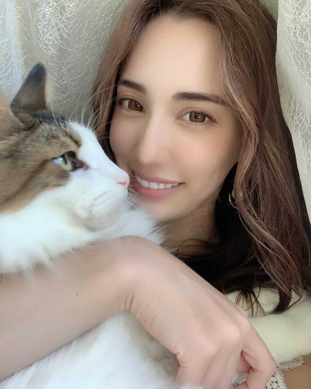 眞木美咲パメラさんのインスタグラム写真 - (眞木美咲パメラInstagram)「ふにゃたん🐱💕  ハイライトがいい感じにでてきた🧡 フェイスフレミング⚡️  @fhitoshi08 🙏🏻  次は何色がいいかな  #猫　#ノルウェージャンフォレストキャット  #cat#catstagram #norwayjanforestcat」11月26日 22時36分 - pamypamypamy