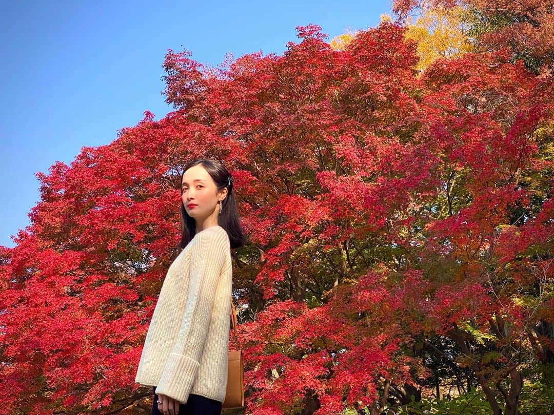 奥村佳恵さんのインスタグラム写真 - (奥村佳恵Instagram)「👹👺💋👠🦀🍁❤️ #autumnleaves  #red」11月26日 22時45分 - okumura_kae