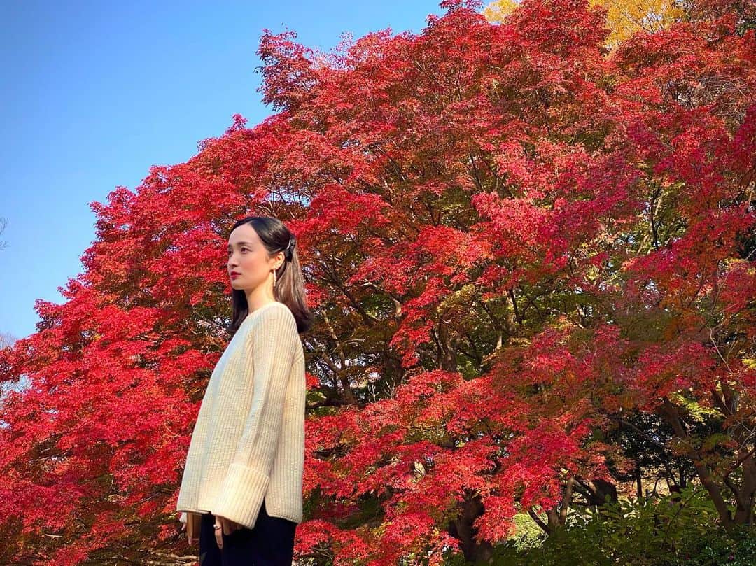 奥村佳恵のインスタグラム：「👹👺💋👠🦀🍁❤️ #autumnleaves  #red」