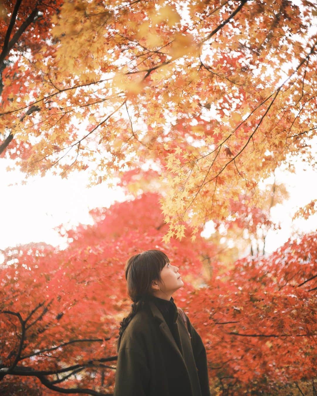 shinichi38のインスタグラム：「﻿ ﻿ True Color 🍁﻿」