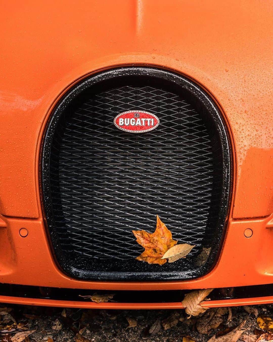 CARLiFESTYLEさんのインスタグラム写真 - (CARLiFESTYLEInstagram)「Happy Thanksgiving!🦃 What’s your favorite Bugatti? 🍂🍁 Photo by @zachbrehl #carlifestyle」11月26日 23時11分 - carlifestyle
