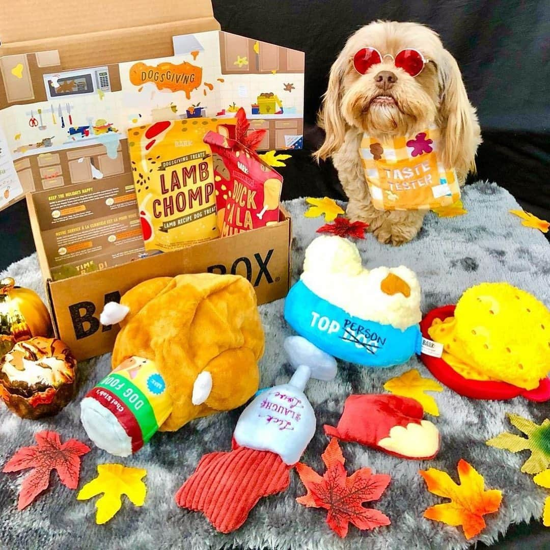 BarkBoxさんのインスタグラム写真 - (BarkBoxInstagram)「HAPPY THANKSGIVING Y'ALL⁠⠀ ft. ⁠⠀ @george.e.basset⁠⠀ @milo.themini.aussie⁠⠀ @vikingthelab⁠⠀ @bentley_theaus⁠⠀ @twobearsandabasset⁠⠀ @buggerzsquad」11月26日 23時07分 - barkbox