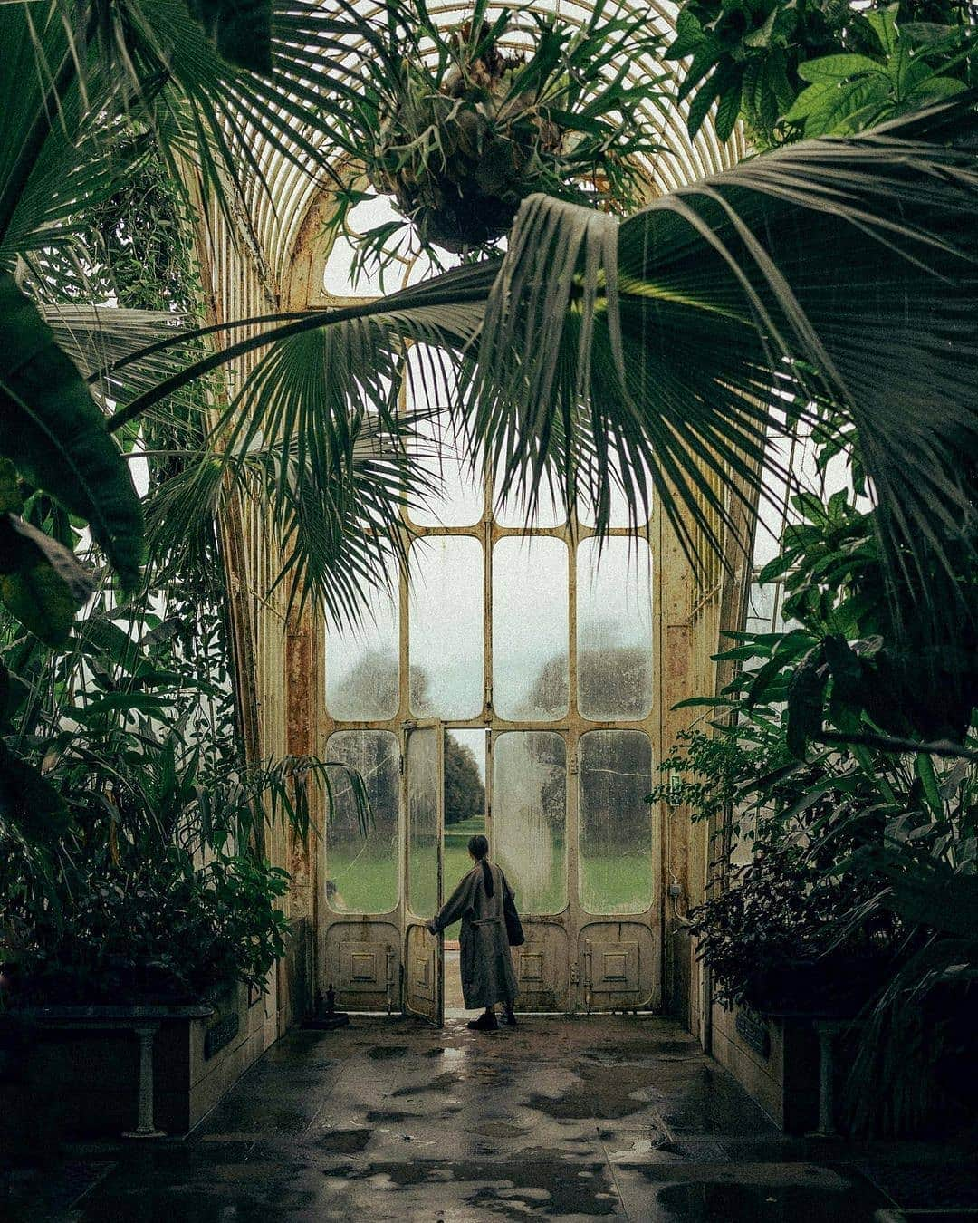 BEAUTIFUL HOTELSさんのインスタグラム写真 - (BEAUTIFUL HOTELSInstagram)「Did you know that The Royal Botanical Gardens has over 50,000 varieties of plants at the Kew Garden in London? 🌱   Get to see plants thrive in tropical, temperate, arid, and alpine climates, all in this UNESCO World Heritage site.   Would you be interested to see the living collections at @kewgardens? Book a time in advance on their website to visit this world-famous garden.🍃   📸 @alixelay 📍 Royal Botanical Gardens @kewgardens, London」11月26日 23時29分 - beautifulhotels