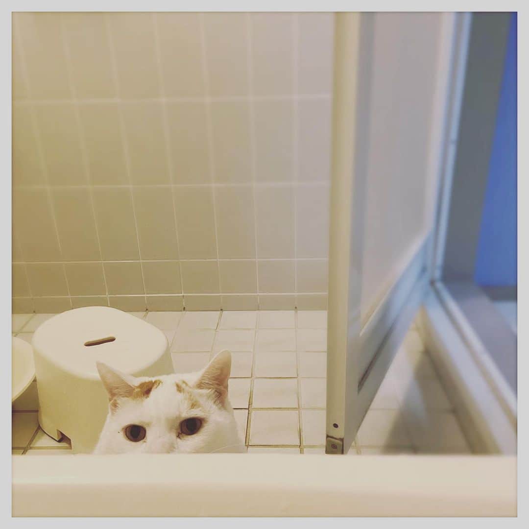 kumikoのインスタグラム：「入れ替わり立ち替わり…」