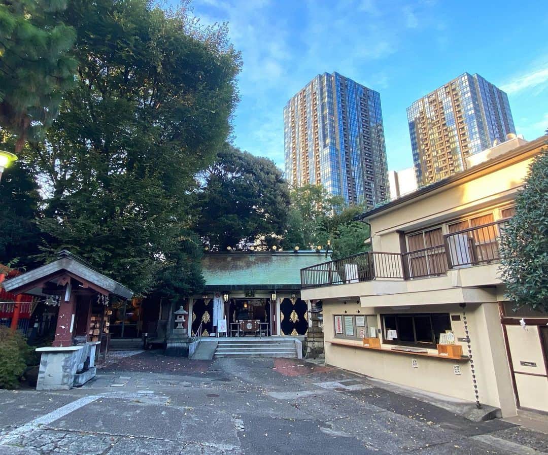 長谷川ヨシテルさんのインスタグラム写真 - (長谷川ヨシテルInstagram)「ぼくは#品川氏館 の#城にゃんこ だにゃ。 れきしクンとは#城跡 の西側のマンションの下で出会ったにゃ。 ・ 城主の#品川氏 は#源頼朝 さんにお仕えしてた、 #鎌倉幕府 の#御家人 のお方だったらしいにゃ。 #大河ドラマ #鎌倉殿の13人 にも出てくるかにゃ。 ・ それから、#室町時代 の中期に、 #鎌倉公方 の#足利持氏 って人に領地を没収されて、歴史上からいなくなったらしいにゃ。 ・ 今は#水の神様 の#貴船神社 が建ってるにゃ。 だから、ある意味#神社にゃんこ でもあるにゃ。 ・ #大崎駅 の徒歩圏内にあるシティ派な城跡なんだにゃ。 ゴロゴロ、ゴロゴロ。」11月27日 0時01分 - yoshiteru_hsgw