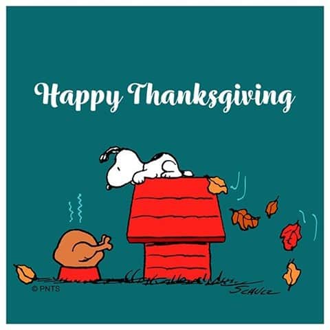 スヌーピーさんのインスタグラム写真 - (スヌーピーInstagram)「Happy Thanksgiving! 🍂 🍂 🍂」11月27日 0時01分 - snoopygrams