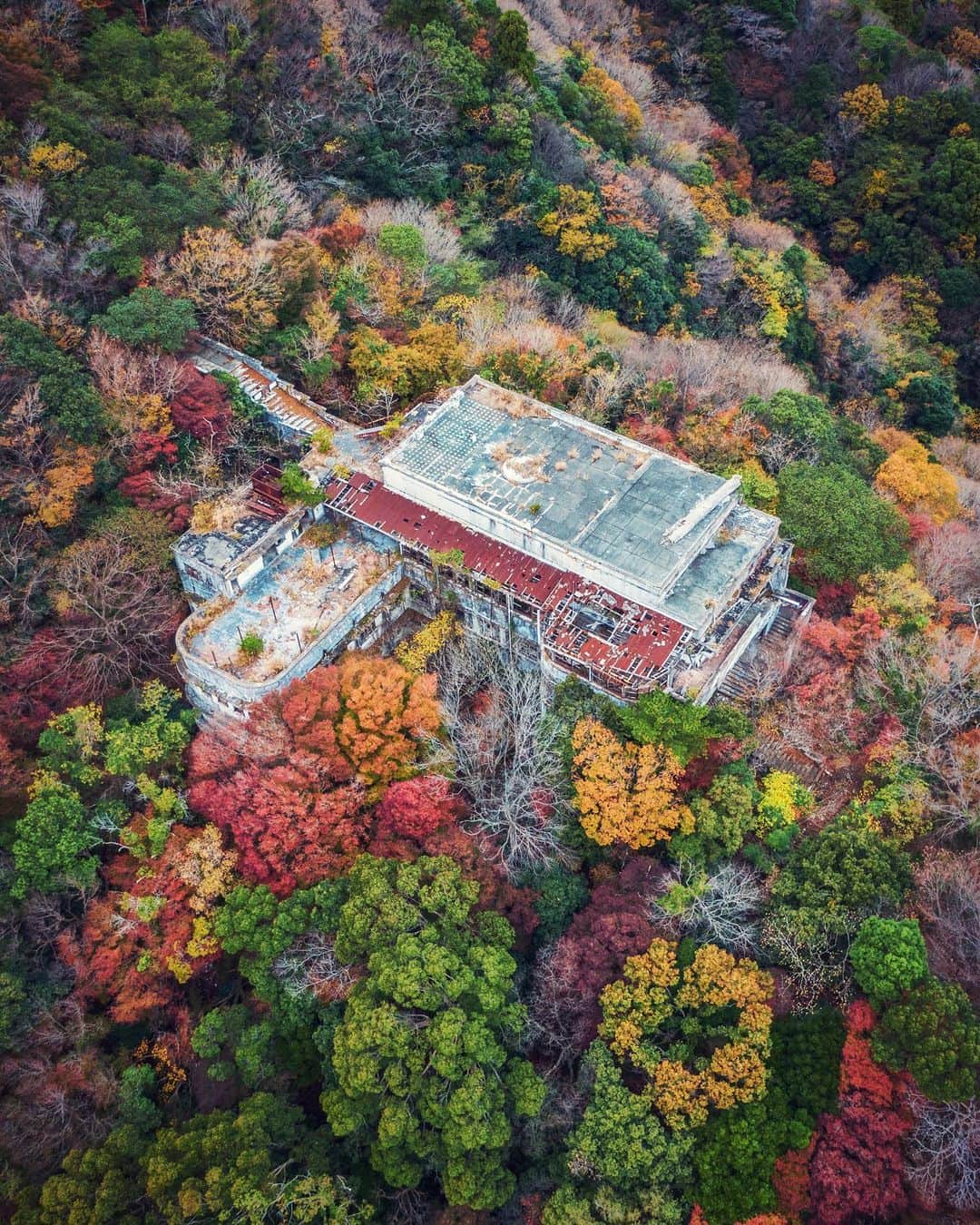 啝 （わ）さんのインスタグラム写真 - (啝 （わ）Instagram)「Abandoned Hotel in Autumn colors 𓆲 𓆲 𓆲 #droneoftheday #djimavicpro #djiglobal #drone #dronephotography #dronestagram #dji #topdronephotos #fromwhereidrone #wedroneasia #droneosoar #skyhilife  #japan_urbex #JJ_URBEX #made_in_decay #kf_urbandonedmasks #KINGS_ABANDONED #m3xtures #Meistershots #moodygrams #nature_takes_over #natures_reclaim #ominous_perfection #pr0ject_uno #rsa_preciousjunk #savethedecay #sfx_decay」11月27日 0時06分 - neji_maki_dori
