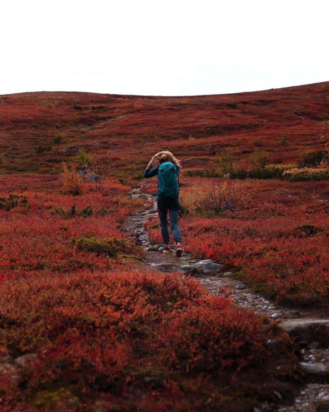 Suuntoのインスタグラム