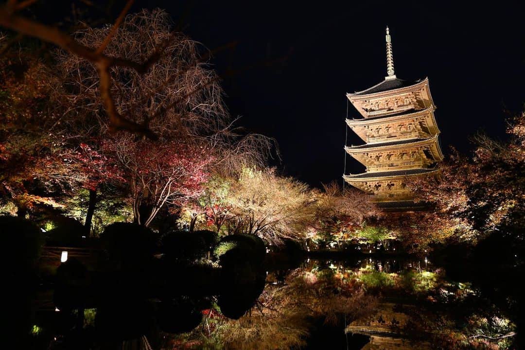 littleportelyさんのインスタグラム写真 - (littleportelyInstagram)「京都の東寺のライトアップ。 実は紅葉見るのは16年ぶりです。綺麗で感動🥺 マスクして、安全に楽しみます。 重くてホテルに置いてきた三脚。意味ないし三脚ないからぶれてる。 . #東寺 #京都 #そうだ京都へ行こう  .  #igersjp#icu_japan#wu_japan#team_jp_#japan_daytime_view#lovers_nippon#travel#japan#instatrip#kyoto#京都観光#紅葉#🍁#京都紅葉#autum#autumnleaves#happythanksgivng#kyotojapan#kyotogram#canon#canonphotography#canon6d」11月27日 0時10分 - no_ocean_no_life