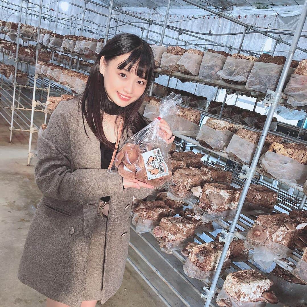 花音うららのインスタグラム：「しいたけ狩り🍄❤️」