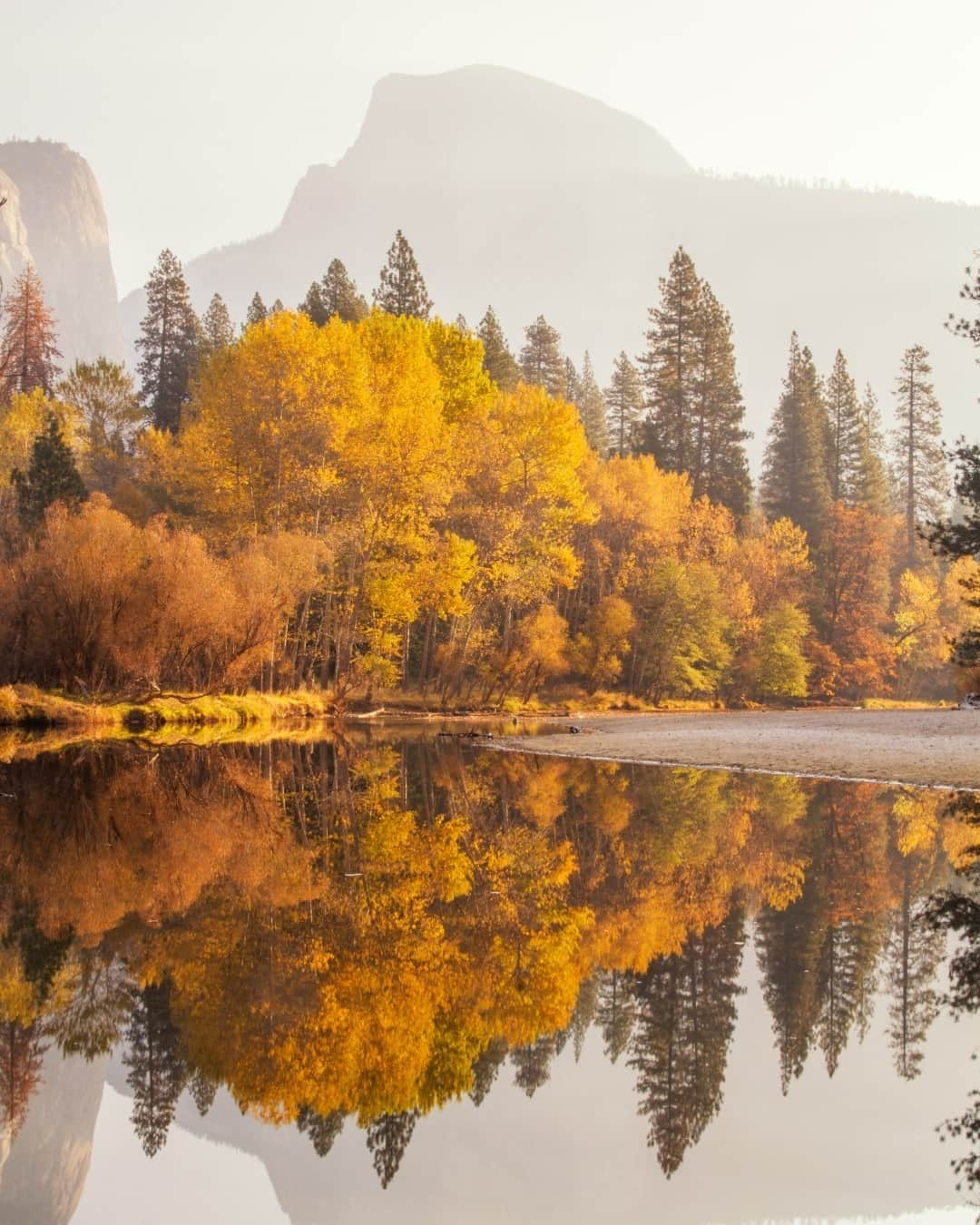 アメリカ内務省さんのインスタグラム写真 - (アメリカ内務省Instagram)「Happy Thanksgiving! We're thankful all year long for America's amazing public lands and the inspiring community of passionate people who care for them. Thank you for being you and sharing your stories with us. Pictured here are the changing fall colors from Yosemite National Park (@yosemitenps) in #California. Photo by Gary Fua (www.sharetheexperience.org). #usinterior #thankful #gratitude #thanksgiving #publiclands」11月27日 0時23分 - usinterior