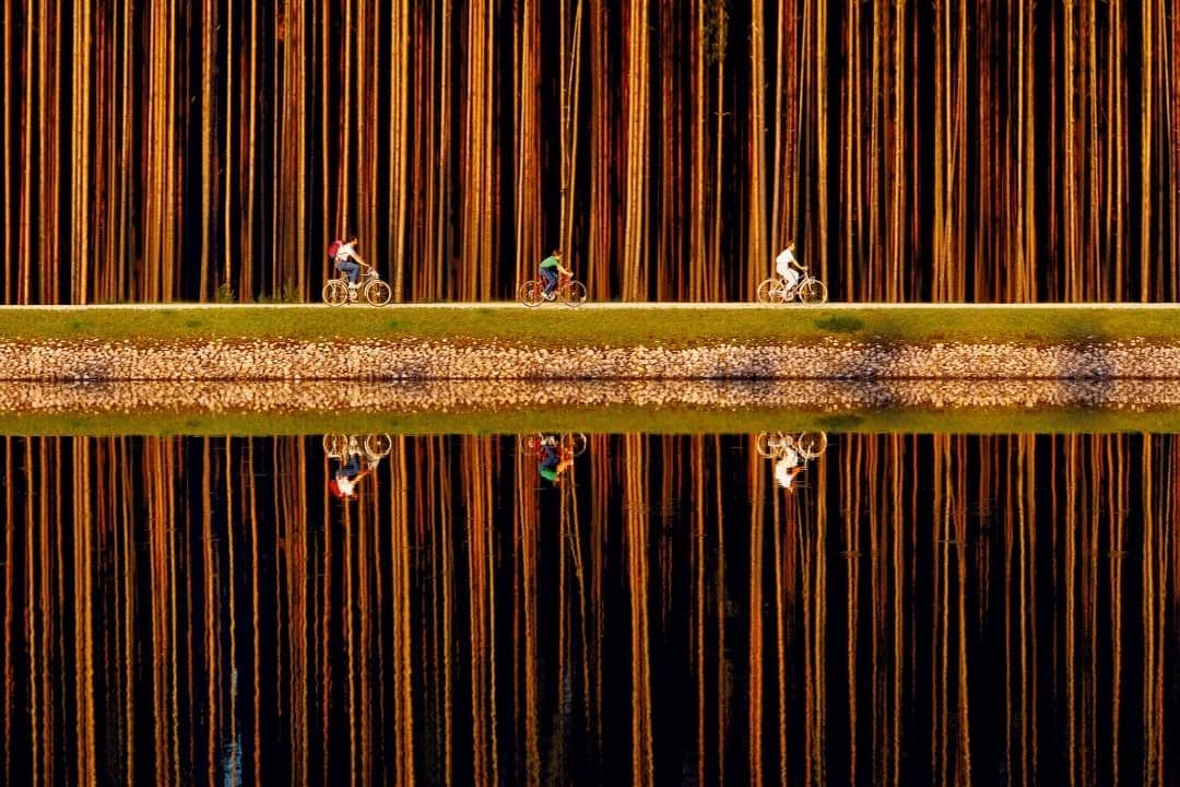 National Geographic Travelさんのインスタグラム写真 - (National Geographic TravelInstagram)「Photo by @gerdludwig / Cyclists enjoy the scenery while riding along the Main-Danube Canal in Germany. @thephotosociety #Germany #MainDanube #canal #cyclists #bicycles」11月27日 0時38分 - natgeotravel