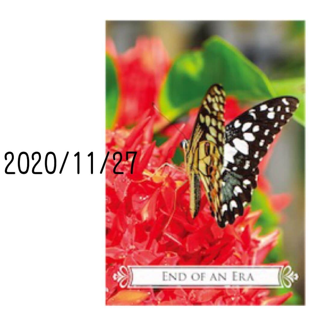 心幸 -Miyuki-さんのインスタグラム写真 - (心幸 -Miyuki-Instagram)「11月27日﻿ ノーベル賞制定記念日﻿ ﻿ 偉人さん💕﻿ ありがとうございます﻿ ﻿ 皆様にとって﻿ 素敵な1日になりますように〜🙏✨﻿ ﻿ #20201127 #ノーベル賞制定記念日﻿ #オラクルカードリーディング」11月27日 0時46分 - healingxpoppy
