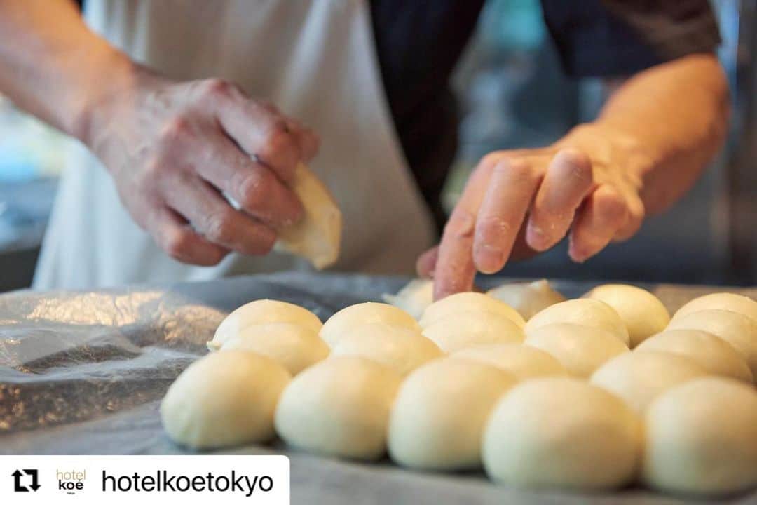 コエのインスタグラム：「#Repost @hotelkoetokyo with @make_repost ・・・ ・ hotel koe bakery ・ hotel koe bakery のパンはシェフが厳選した素材でひとつひとつ生地からお店で手作りしています。 パンの特徴によって作り方や小麦、食材を変え、それぞれ個性の個性を引き立てているパンは、食パンが5種類、惣菜・菓子パンが10種類程のラインナップです。 テイクアウトでも店内でもお召し上がりいただけますので、ぜひご利用ください。 ・ ※現在、新型コロナウイルス感染拡大防止の為、営業時間を縮小して営業しております。 ・ koe lobby 渋谷　(hotel koe tokyo 1F) morning : 7:30~11:00(l.o.10:30) lunch : 11:00〜15:00 (l.o.14:30) tea time〜:15:00〜20:00(l.o.19:30) ・ 〒150-0042 東京都渋谷区宇田川町３−７ tel.03-6712-7257 ・ #koe#koelobby#hotelkoe#tokyo#shibuya#shibuyacafe#japan#bread#일본 #시부야 #아침 #コエ #コエロビー #ホテルコエ#渋谷 #渋谷カフェ#hotelkoebakery#ホテルコエベーカリー#池田浩明#🍞」