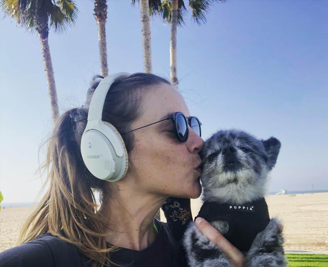 ジェシカ・ストループのインスタグラム：「First Thanksgiving I’ve ever spent away from my family in SC. 2020 hasn’t been pretty but I’m still grateful to be in it, for this little fluffball I call Willow, for the health care workers out there risking their lives and for the egg noodles I found and used in place of macaroni. Happy Thanksgiving friends.」