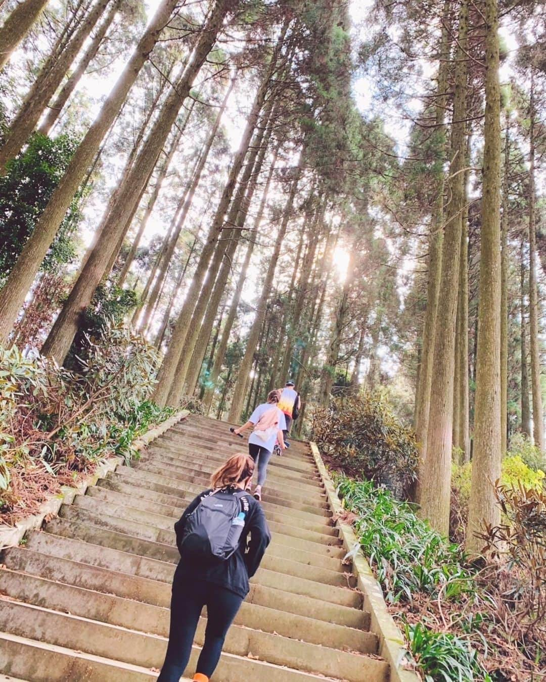 スザンヌさんのインスタグラム写真 - (スザンヌInstagram)「#日本一の石段3333段 ﻿ 登ってきました🚶‍♀️🏃‍♀️🚶‍♀️💪﻿ ﻿ おかげで今朝はふくらはぎが﻿ ぶっこわれてます🙏﻿ いつぶりだろう。。な筋肉痛に歩くたび、ひっくりかえりそうです😂﻿ ﻿ 妹とゆいちゃんとスガッシュと🔥（なんとスガッシュは2days20時間ぶりの3333段😂すごすぎ）﻿ ﻿ 登りの前半はまだ踊ったりはしゃいだりする余裕があったのですが2000段くらいから🪜﻿ 下りはずっと脚がピキピキぶるぶる😂わたしはね。笑笑﻿ ﻿ それでも、心身共に素晴らしいモチベーションを保つ、﻿ スガッシュがメンタルトレーナーのおかげで、﻿ ポジティブにずっとずっと笑って楽しくチャレンジすることができました☺️🌈﻿ 最後みんなの分準備してくれてた、プロテインが染みた染みたぁ！一気飲みしました！﻿ ほんっとにありがとう♡﻿ ﻿ この筋肉痛がおさまったらまた登りたいって思うくらい楽しかった☺️息子もいけるかなぁ☺️﻿ 次は一緒に行ってみようかな☺️﻿ ﻿ ﻿ あと、すれ違う皆さんが優しい優しい。もうすこしだよー、頑張ってーと声をかけてくださったり、﻿ 1日5往復されてる猛者がいらしたり☺️白目。﻿ 出逢いってやっぱり素敵💕﻿ ﻿ ﻿ これから登るかもしれないみなさんへ♡📝﻿ ﻿ 昨日は11月でも﻿ 天気がよかったので登り始めたら結構すぐに汗ばんできてみんな上着を脱ぎ始めました☀️﻿ （脱ぎ着しやすい服がおすすめ。）﻿ ﻿ 上る時は息が上がる心肺機能的なきつさと思ったように足があがらなくて足がからまりそうに💪（でも幼稚園生も遠足で登ることがあるみたい。連れてく先生たち尊敬。）﻿ ﻿ 下りはそんなに息あがりませんがブレーキをかける脚に負荷がかかって、プルプルしてしまう肉体的なきつさ💪がありました🌈﻿ ﻿ スガッシュも、タフガールな妹も﻿ わたしたちに合わせてくれて、﻿ ﻿ 上り 120分ぐらい﻿ 休憩　ちょこちょこをあわせて　﻿ 30分ぐらい﻿ 下り 50分ぐらい﻿ でした🙏﻿ ﻿ 普段運動されてるかたから﻿ 半分くらいの時間だと思います☺️﻿ ﻿ 必要なもの☺️﻿ ・ランニングシューズ(軽くて動きやすい靴)﻿ ・スポーツウェア、上着﻿ ・タオル﻿ ・ドリンク﻿ ・おやつ(エネルギー補給)﻿ ・魂﻿ ﻿ あと、トイレにティッシュがないので持参して行くと🙆‍♀️です！﻿ ﻿ ﻿ 以上#日本一の石段 レポでした🙏﻿ ﻿ ﻿ 今日は夕方からのお仕事なので﻿ それまでどうにかして、﻿ ちゃんと歩けるようになってたいです🙏🙏🙏」11月27日 10時18分 - suzanneeee1028