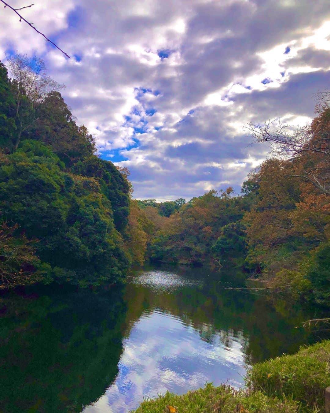 白木夏子さんのインスタグラム写真 - (白木夏子Instagram)「秋の空。水鳥可愛い😍ロンドンの公園思い出すな〜　 そして秋は何食べても美味しいねぇ。…って食欲の秋を理由にたくさん食べてる。 この前作ったサグパニール（ほうれん草カレー）はカレードリアにしてもとっても美味でした😋」11月27日 10時29分 - natsukoshiraki