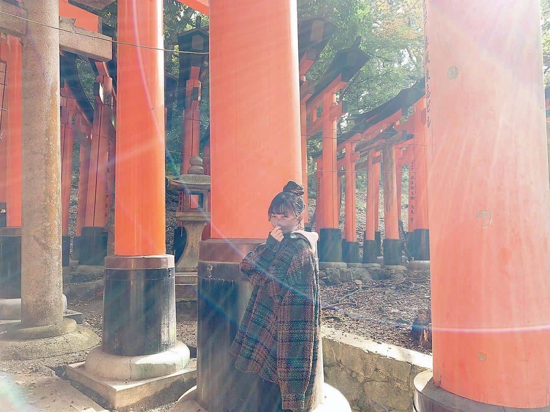のインスタグラム：「﻿ ﻿ ﻿ ﻿ ﻿ 光﻿ ﻿ ﻿ ﻿ #photograph #Kyoto﻿ ﻿ #そうだ京都に行こう #旅 #観光 #旅行 #神社 ﻿ #日本旅行 #アウトドア #gotoキャンペーン」