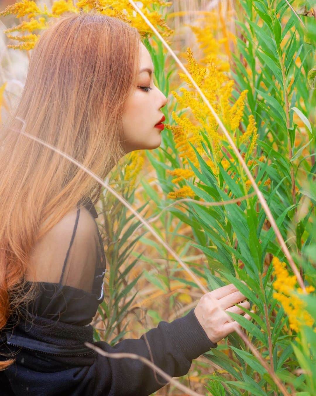 のインスタグラム：「植物たちが色鮮やかに染まるる秋🍁﻿ 💛❤️🧡💚﻿ ﻿ ﻿ ﻿ 冬は1番嫌い🙊﻿ ﻿ Photoshoot by @cutie_style_bg  ﻿ ﻿ #紅葉 #autumn #color #dancer #choreographer #japanesedancer #photoart #fashion #model」