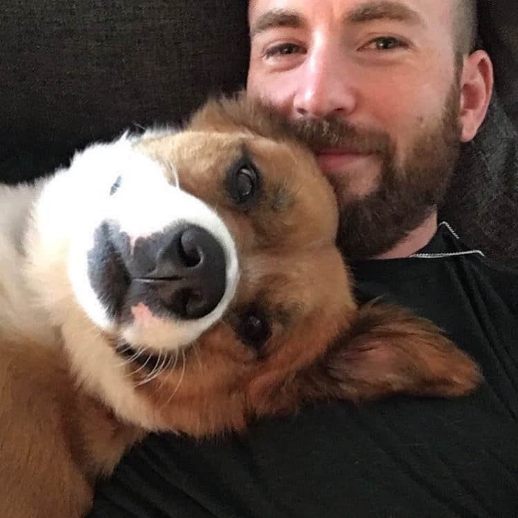 E! Onlineさんのインスタグラム写真 - (E! OnlineInstagram)「We're so very #ThankfulFor Chris Evans and all the great photos he gave us this year. Of his dog, obviously. (📷: Instagram)」11月27日 11時02分 - enews