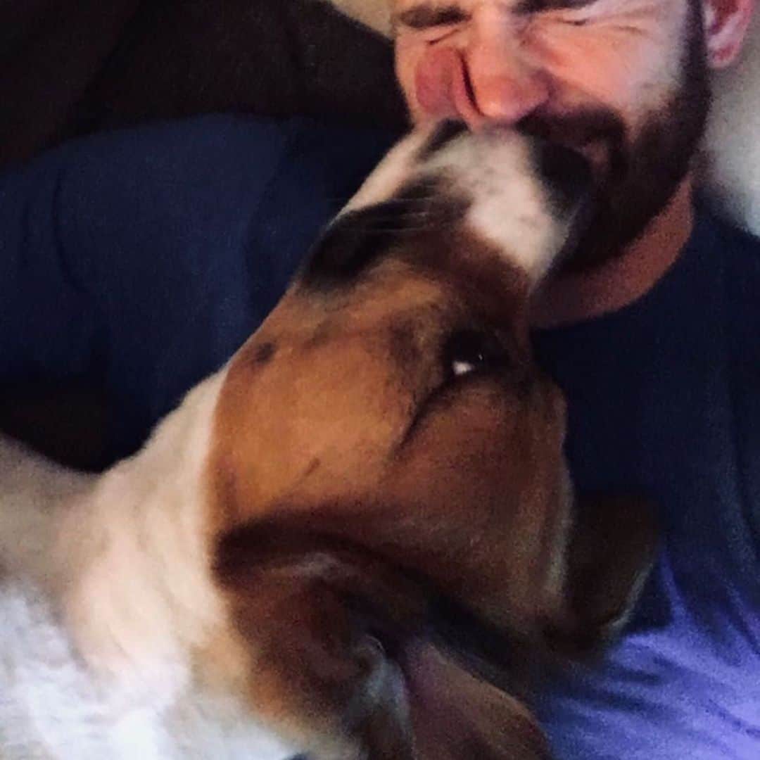 E! Onlineさんのインスタグラム写真 - (E! OnlineInstagram)「We're so very #ThankfulFor Chris Evans and all the great photos he gave us this year. Of his dog, obviously. (📷: Instagram)」11月27日 11時02分 - enews