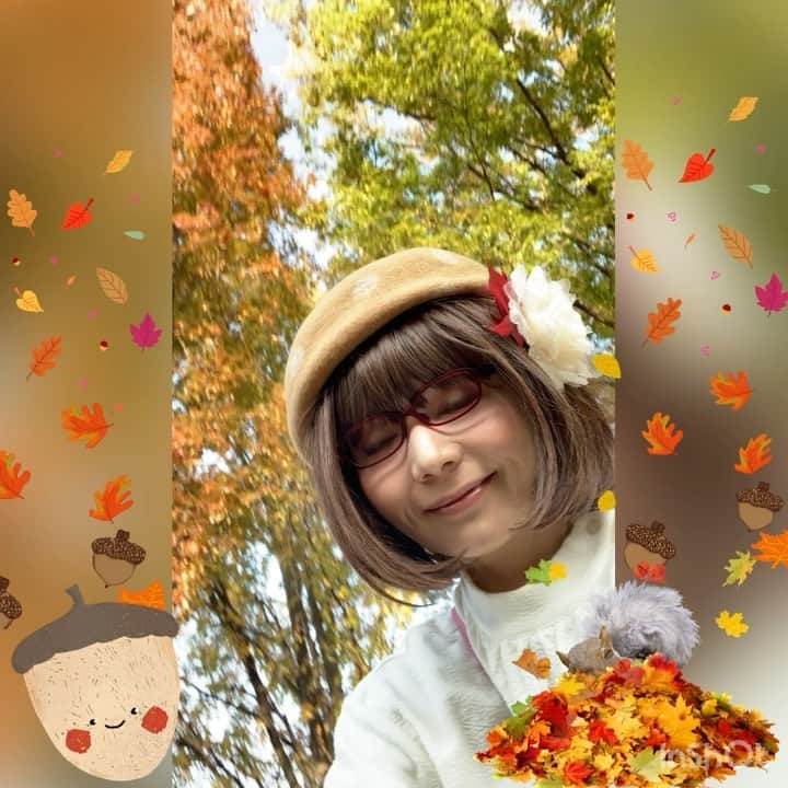 木部さんのインスタグラム：「けやきの落葉ときべ！🍂🍂🍂﻿ ﻿ ﻿ ﻿ ﻿ ﻿ ﻿ ﻿ #秋 #季節の色 #落ち葉 #色とりどり#綺麗だな #けやきの木#秋色 #11月 #けやき #fallenleaves#beautifulleaves #fall #zelcova #seasonalcolors #november2020」