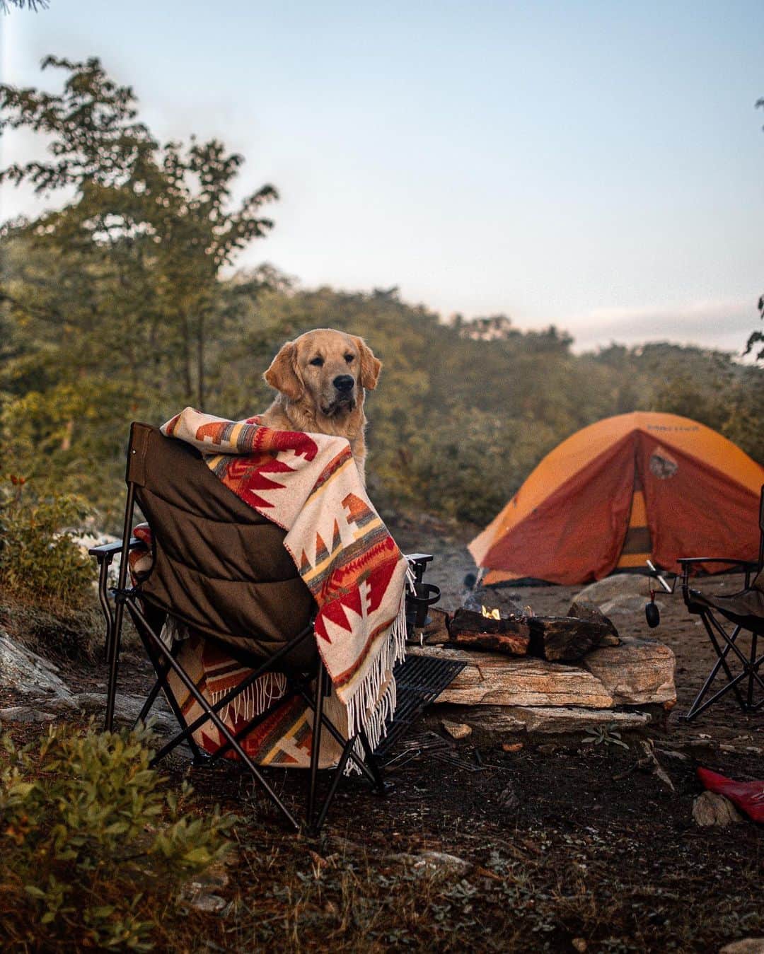 Explore Canadaさんのインスタグラム写真 - (Explore CanadaInstagram)「Hi fellow explorers! My name is Kat and I am a dog mom of two (@eastonofthewild and @growingupmakita). I teach kindergarten and enjoy adventuring the outdoors with my fur babies while documenting our explorations through photography.⁠⠀ ⁠⠀ Since I was 3, Canada has been my home. I was born in Australia but grew up out west in BC and ended up settling down in Ontario. Growing up traveling, I always thought that Canada was big cities with these amazing landmarks - and as that is still true, bringing Easton home also brought me a little closer to nature in Ontario. And man, does Ontario do nature right!⁠⠀ ⁠⠀ Having Easton in my life made me want to travel a little closer to home. I wanted to give Easton the best life I could, so I began to find ways to travel with him. And honestly, there was no better way to travel with a dog than road tripping throughout Canada. We started to explore smaller towns with hidden gems as well as the bigger ‘must see’ places. Long drives throughout Ontario for a day trip became the norm quite quickly. And every now and then, we would take the time to road trip out west to see family and friends.⁠⠀ ⁠⠀ I began to love road tripping with Easton because I could tell that he loved it as much as I did. I began to appreciate the nature that was surrounding me every day (local trails close to home and friend’s properties around Ontario). I quickly came to realize that I don’t have to go far to explore. Everything I ever wanted for my pups and I was all close to home; in my backyard so to speak.⁠⠀ ⁠⠀ Although I have traveled the country, Ontario has everything you need to soothe your soul; forests, lakes, and beaches. This is why I have chosen Ontario to be our home base.⁠⠀ ⁠⠀ Welcome to the place I call home. I think you should come and explore with us. You won’t be disappointed.⁠⠀ ⁠⠀ 📷: @eastonofthewild, @growingupmakita⠀⁠⠀⁠⠀ 📍: @ontariotravel⁠⠀ ⁠⠀⁠⠀⁠⠀ #DiscoverOntario⁠」11月27日 2時36分 - explorecanada