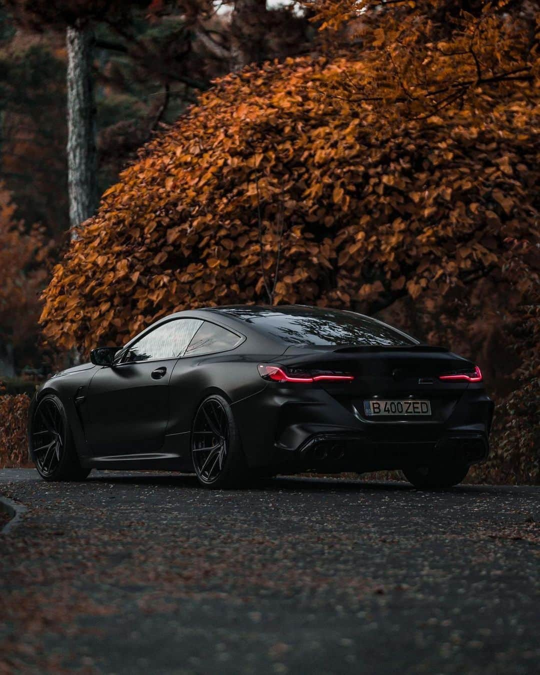 CARLiFESTYLEさんのインスタグラム写真 - (CARLiFESTYLEInstagram)「Stealthy BMW M8 🍂🍁🦃 Photo @zedsly #carlifestyle」11月27日 2時52分 - carlifestyle