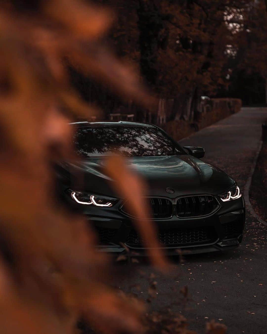 CARLiFESTYLEさんのインスタグラム写真 - (CARLiFESTYLEInstagram)「Stealthy BMW M8 🍂🍁🦃 Photo @zedsly #carlifestyle」11月27日 2時52分 - carlifestyle